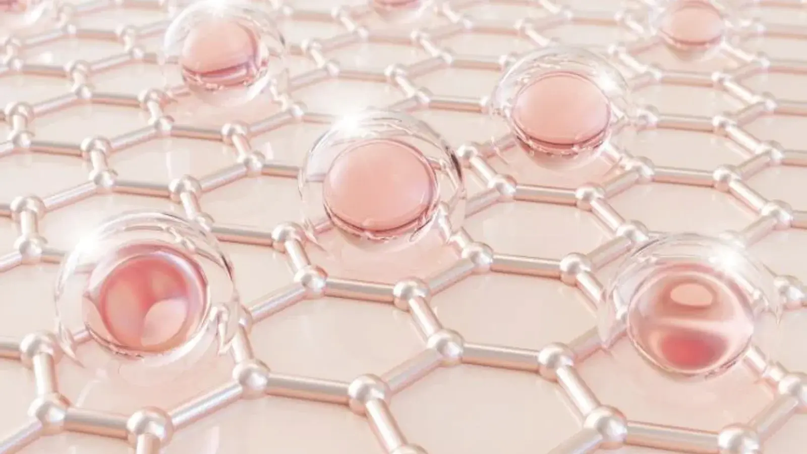 Exosome Molecular Makeup
